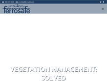 Tablet Screenshot of ferrosafe.com